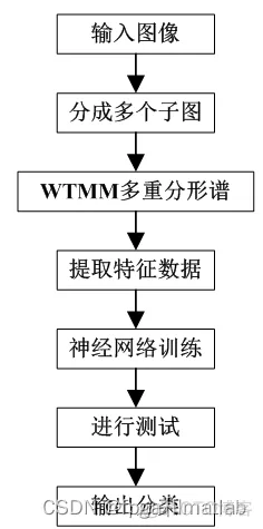 【WTMM】基于WTMM的图像多重分形谱matlab仿真_图像处理